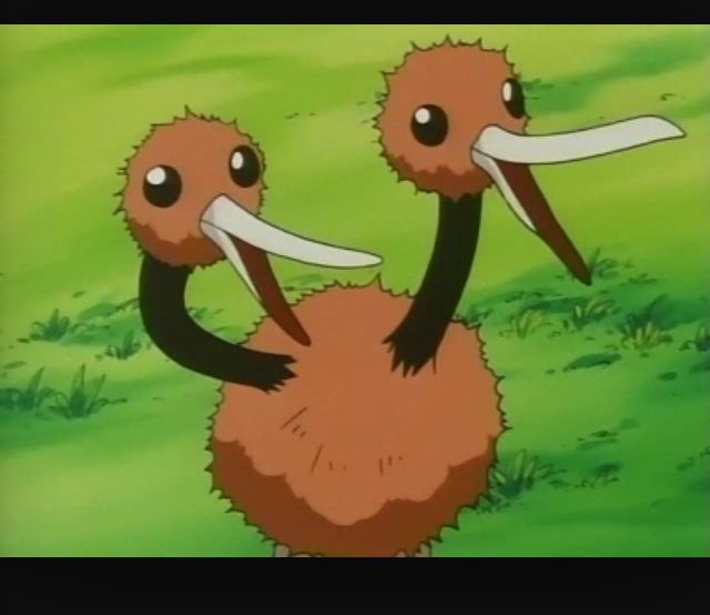 Doduo No.2 Pokémon Amino