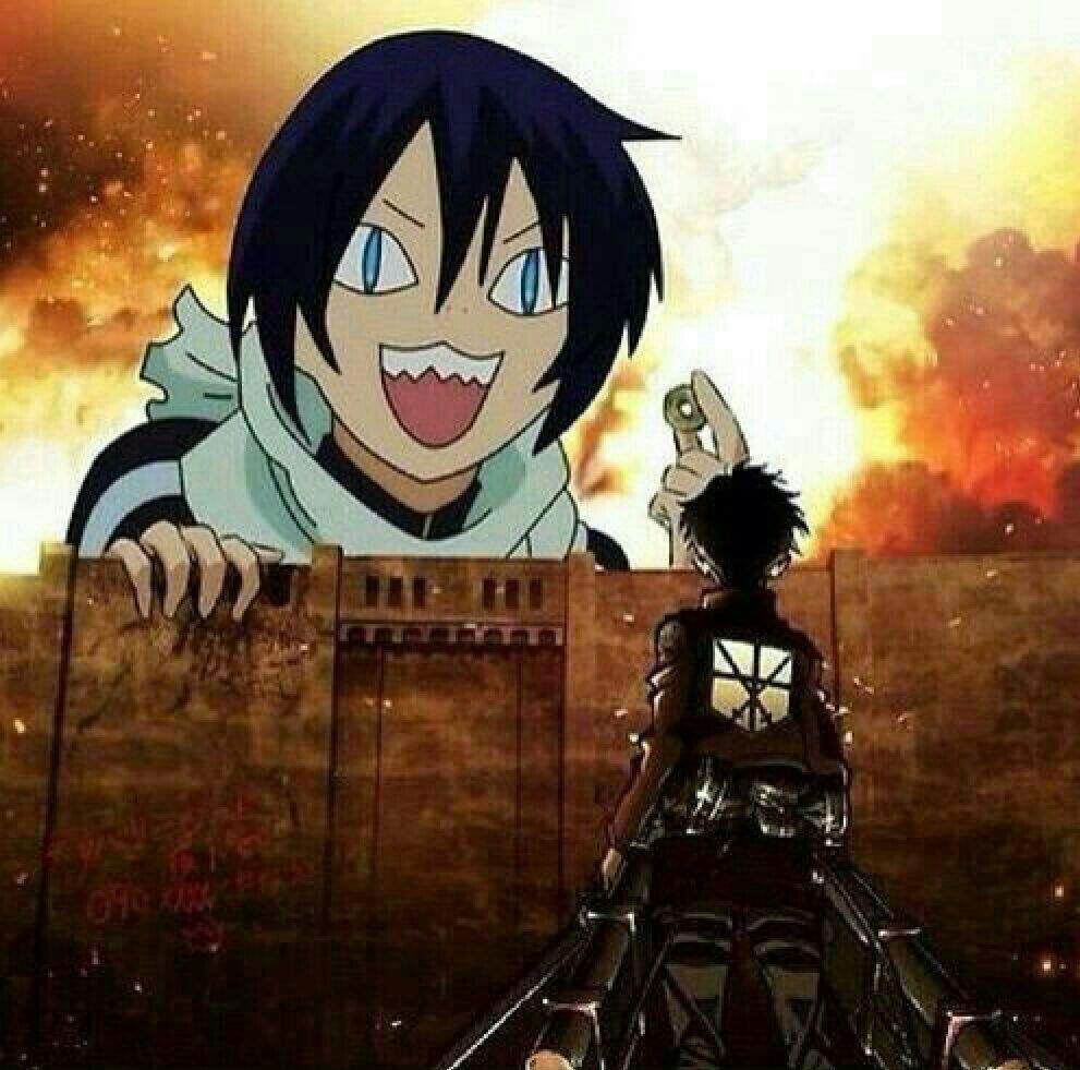 Noragami Memes Anime Amino
