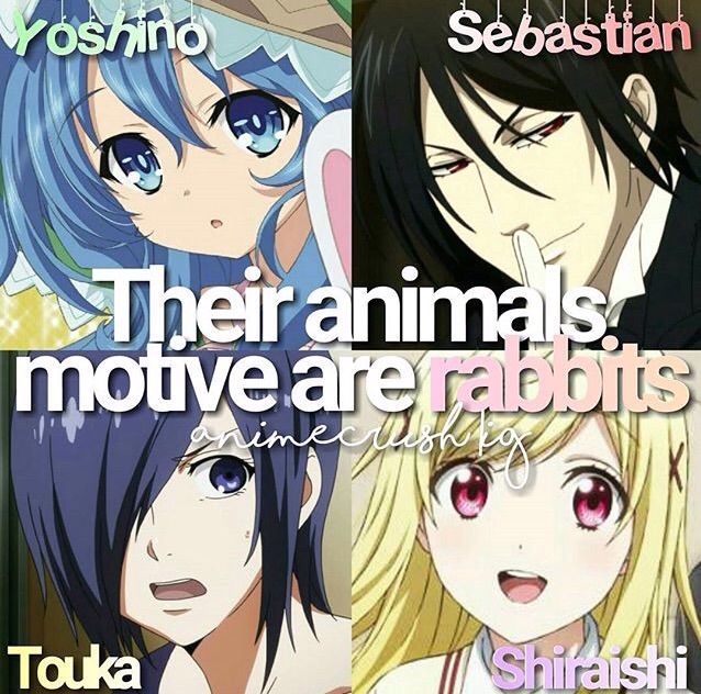 Random Anime facts Anime Amino