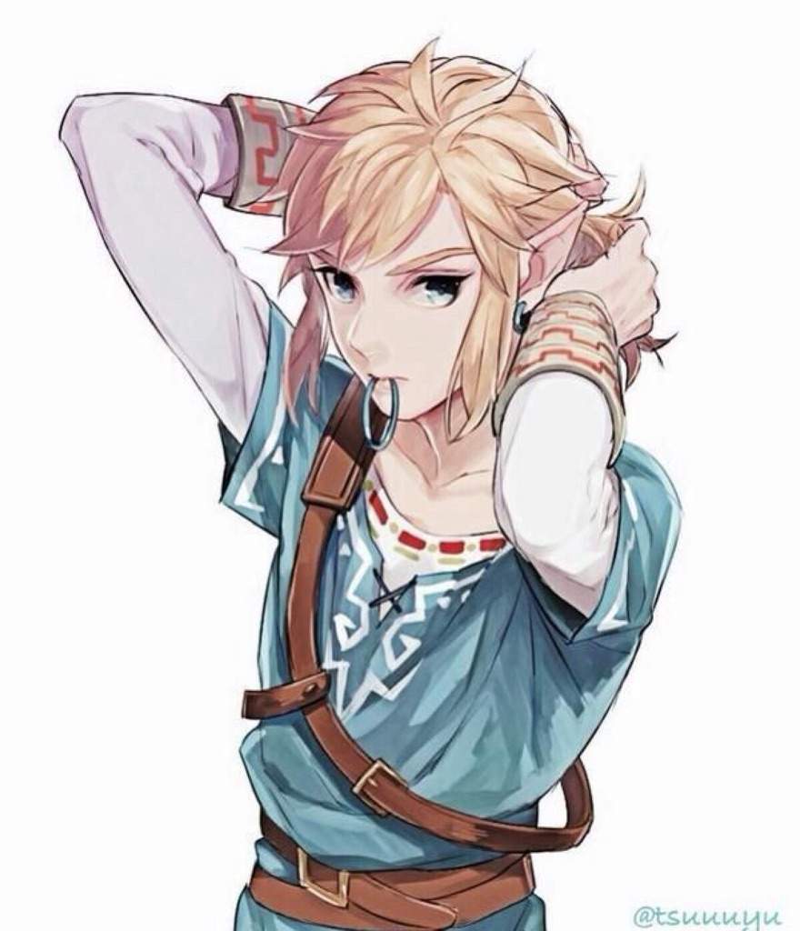 Hyrule's Aesthetic ZeldaAesthetic Zelda Amino