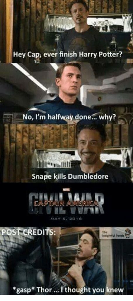 Harry Potter Memes Voldemort Novocom Top