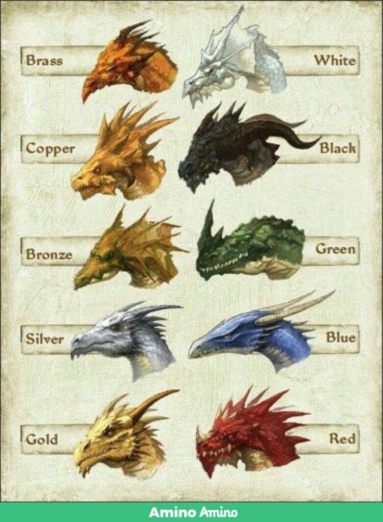 Bagan's Guide Dragon Training, Elements, Types, An Wiki Dragon