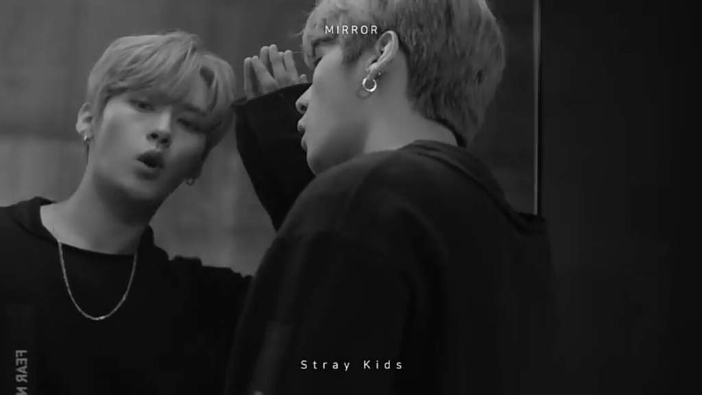 DON'T KILL Me!! Stray Kids Amino(011)