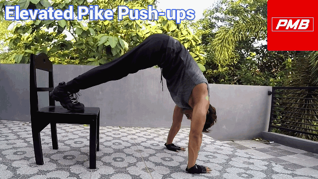 Manfaat, Cara & Jenis Push up (Mudah-Ekstrim), Penjelasan by Demo (Part 1)  – PMB Fit Channel