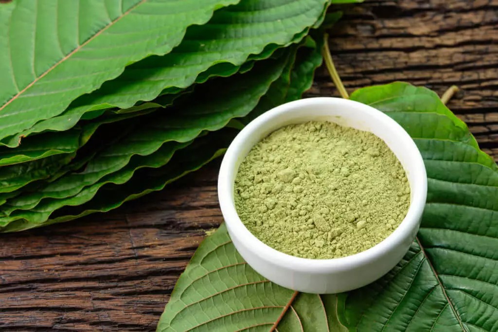 7 Most Popular Strains Of Kratom