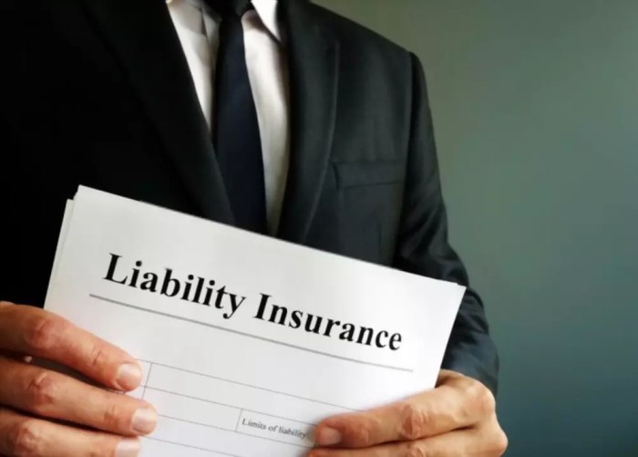 Liability insurance entrepreneurial alive