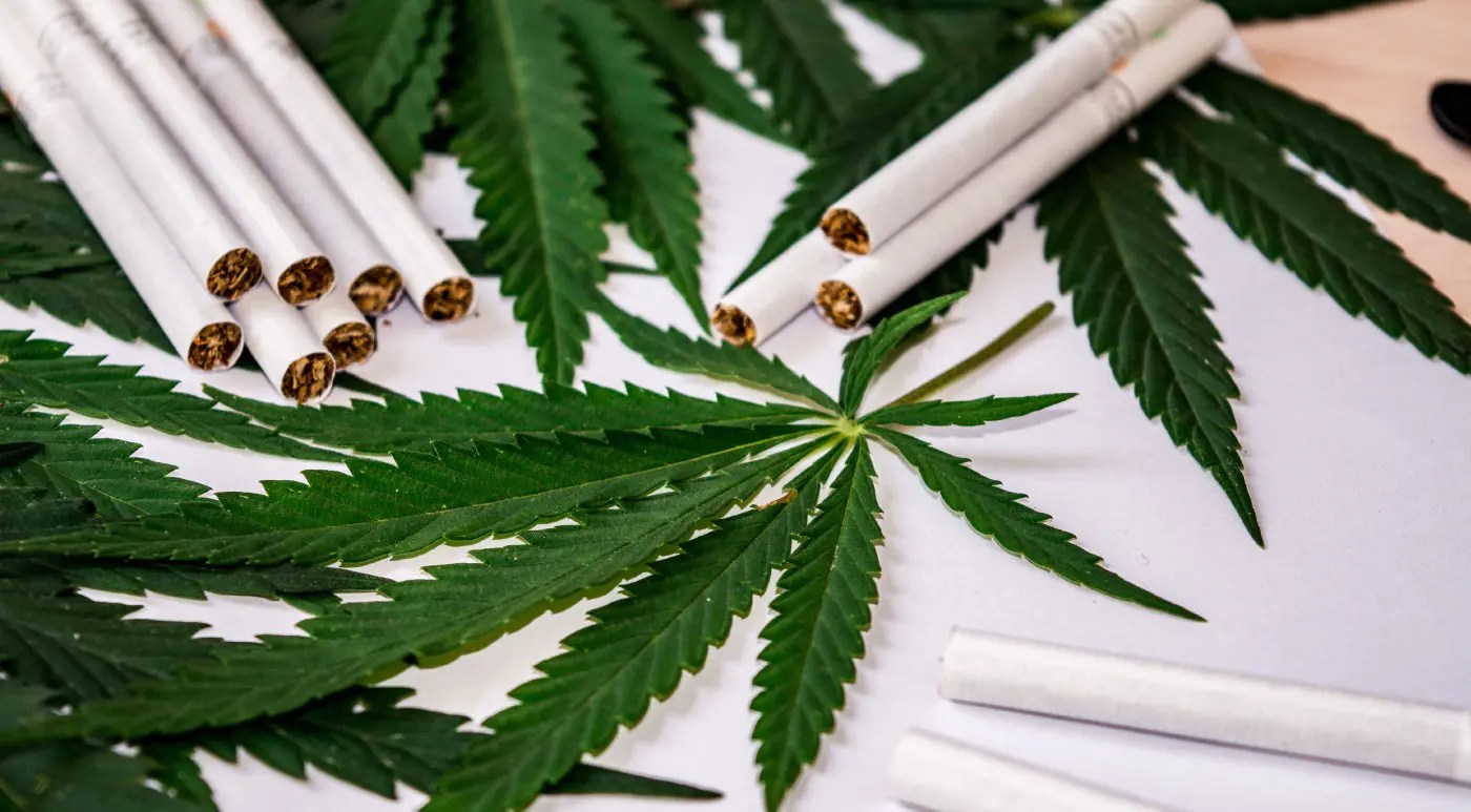 What Are CBD Cigarettes and How Do They Work?