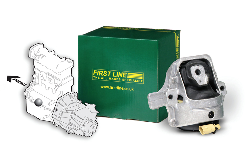 Professional Motor Mechanic