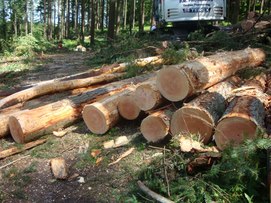 PM Processing Ltd Timber Harvesting, Extraction and Haulage operations