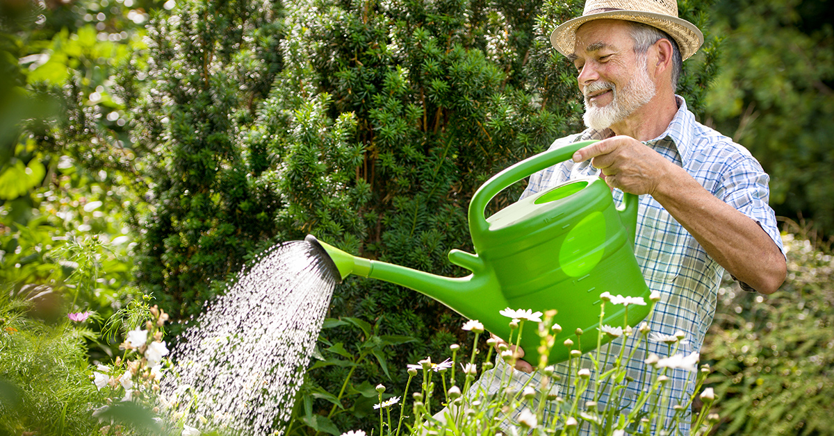 Spring Spine Maintenance San Antonio, TX Spine Surgeon Orthopedic