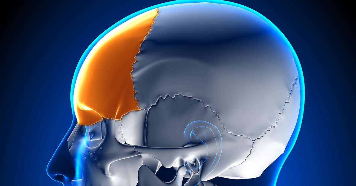Cranial Conditions Seattle, WA Brain and Spine Surgery