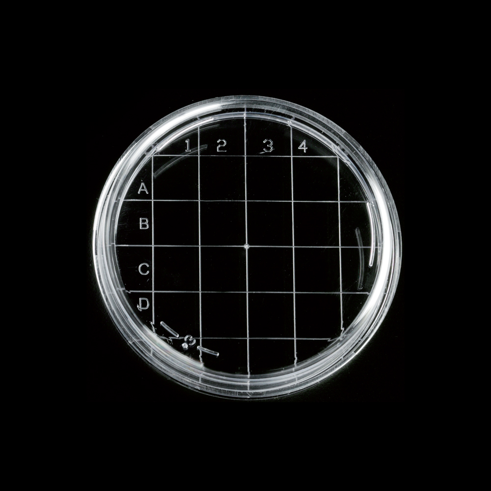 Contact plates PMS Partners Medical Solution