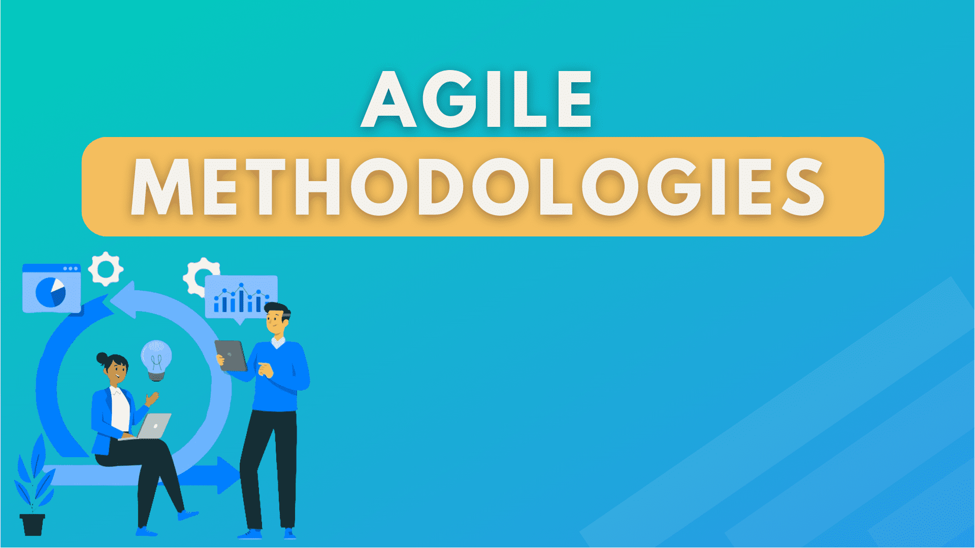 What is Agile Methodology in Project Management? PM Study Circle