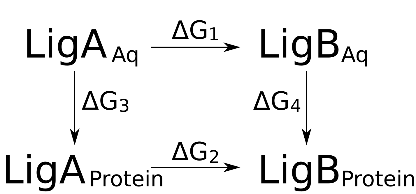 Ligand modification free energy calculations