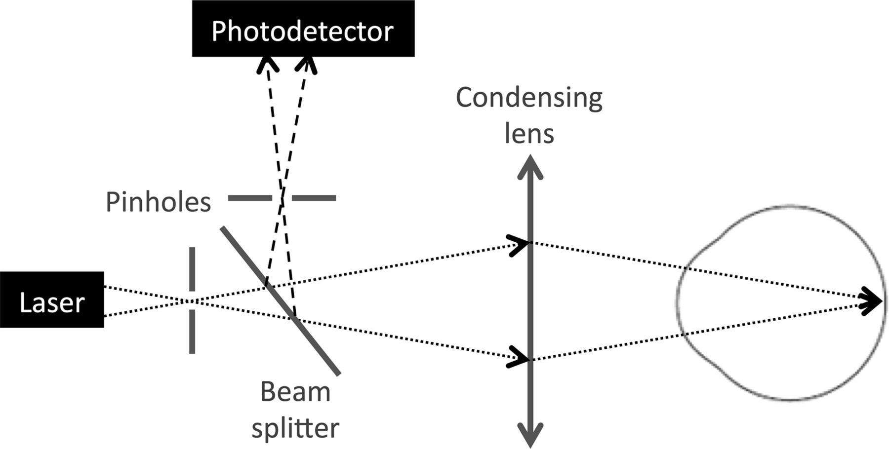 Retinal imaging what the neurologist needs to know Practical Neurology