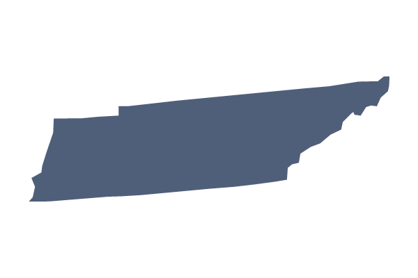 Tennessee Prenatalto3 State Policy Roadmap 2021
