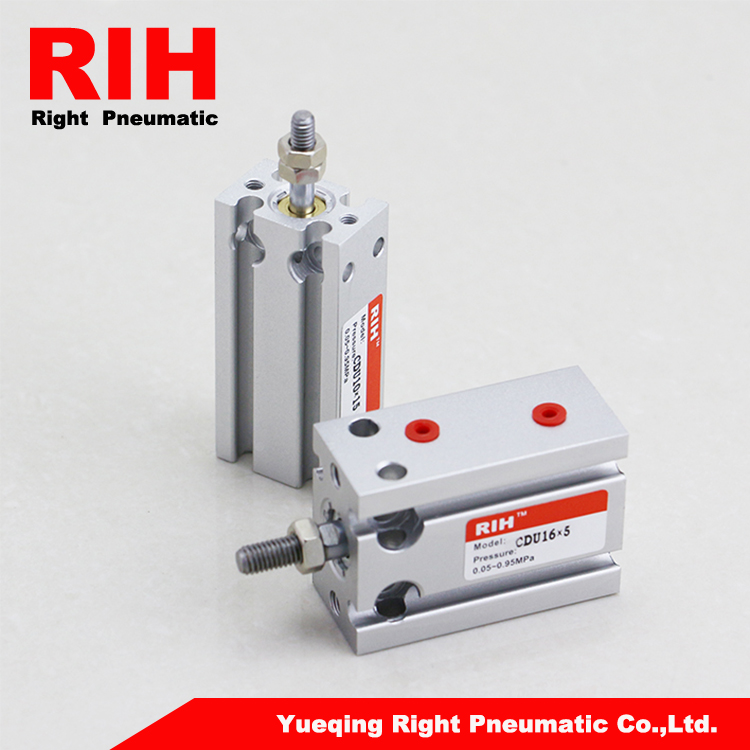 CDU Series Air Cylinder CDU165D Multiposition Installation Stainless Steel Double Acting