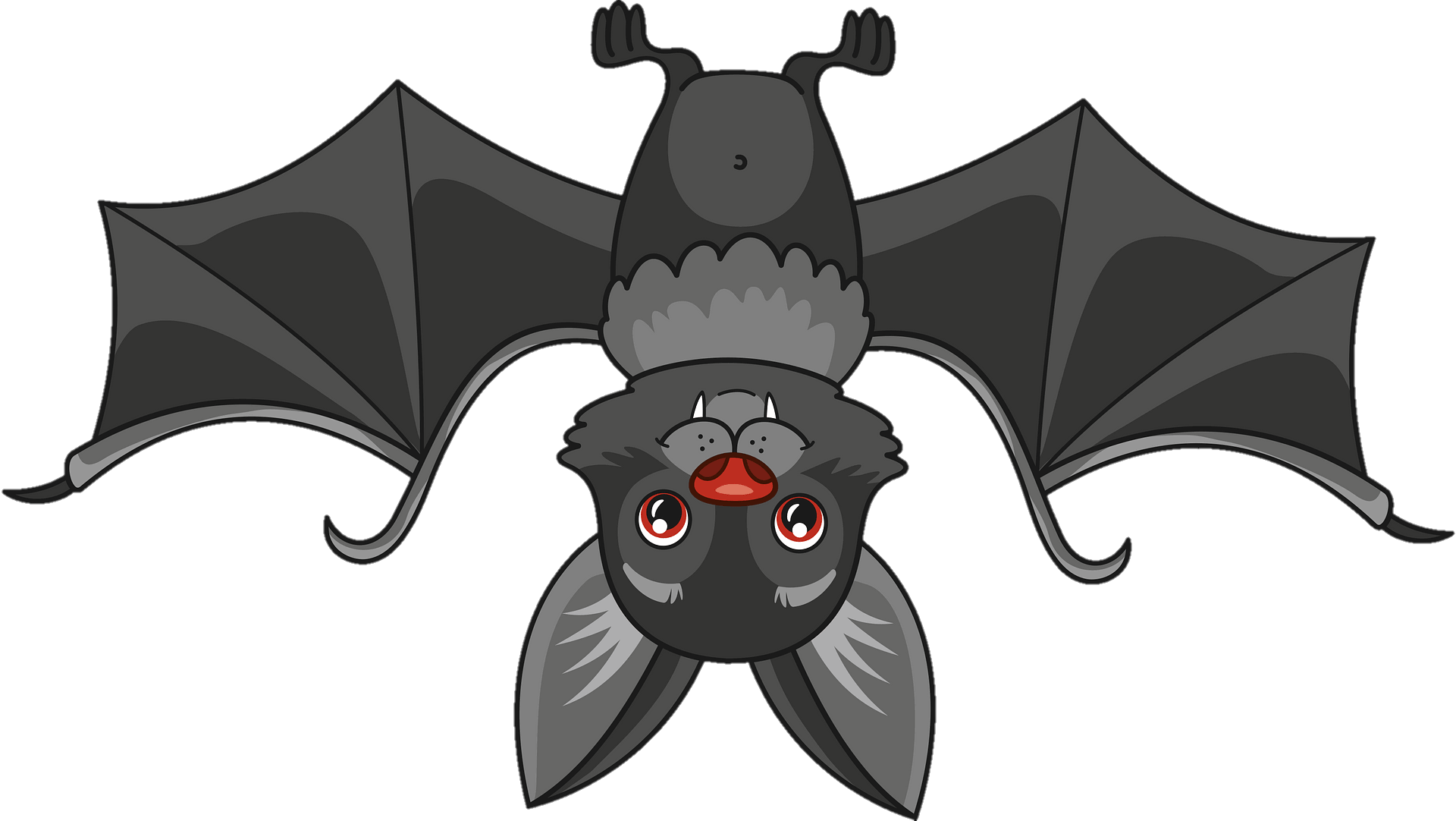 Bat PNG Transparent Images Free Download Pngfre