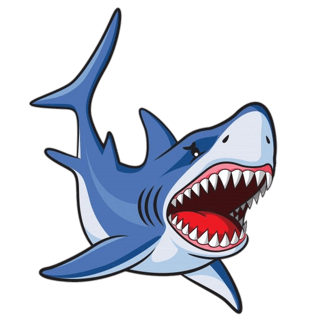 Shark PNG Transparent Images Free Download - Pngfre