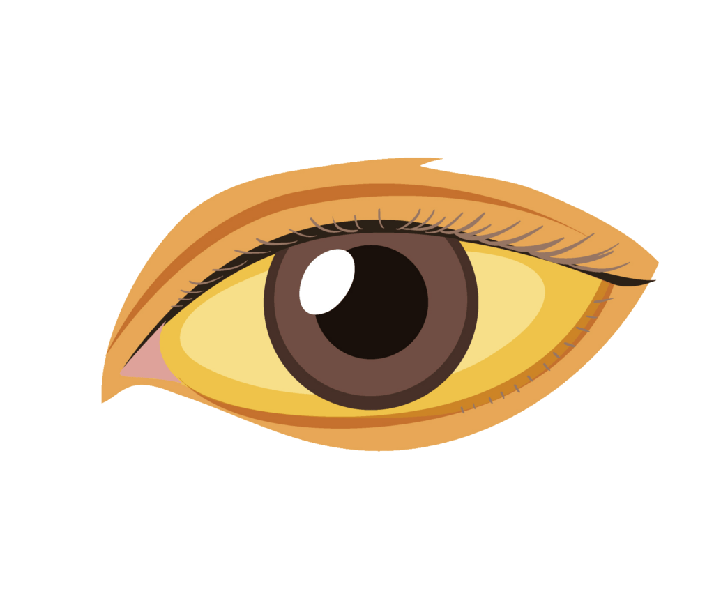Eyes Clipart Images