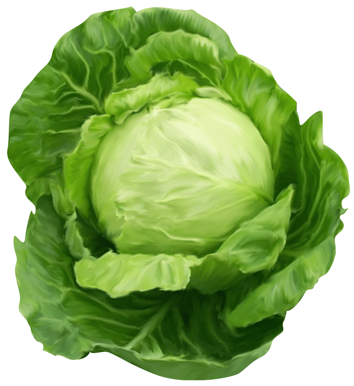 Green Vegetables Png