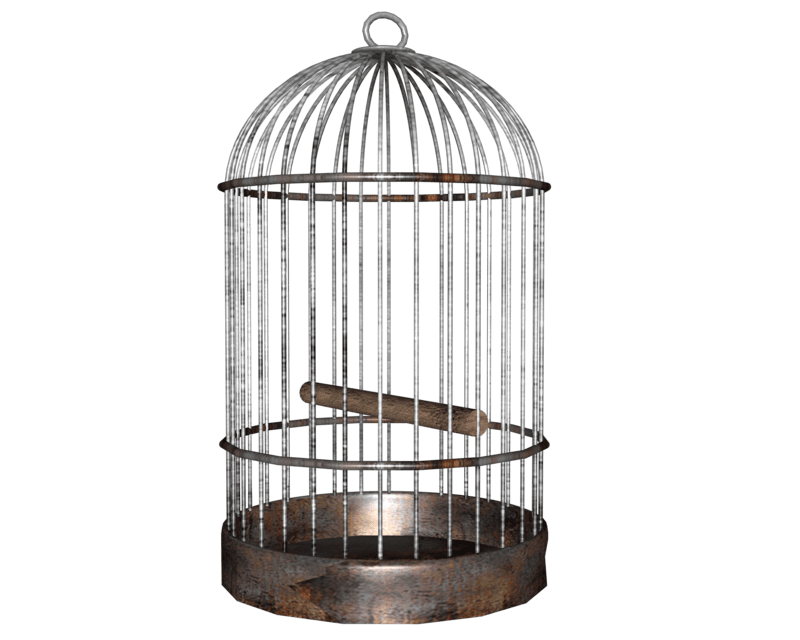 Cage bird PNG transparent image download, size 800x640px