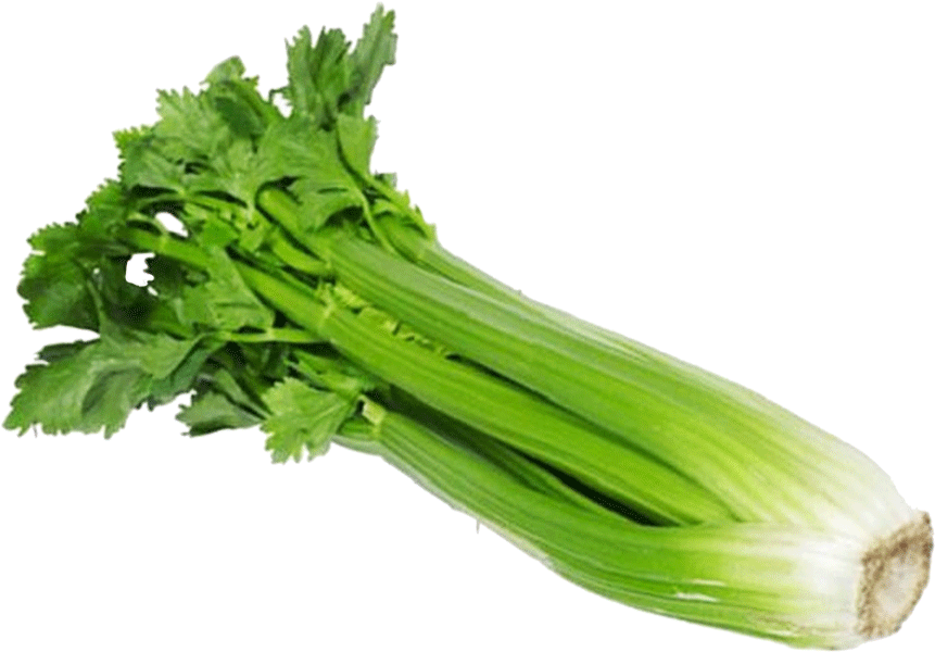 Celery Stick In Hindi