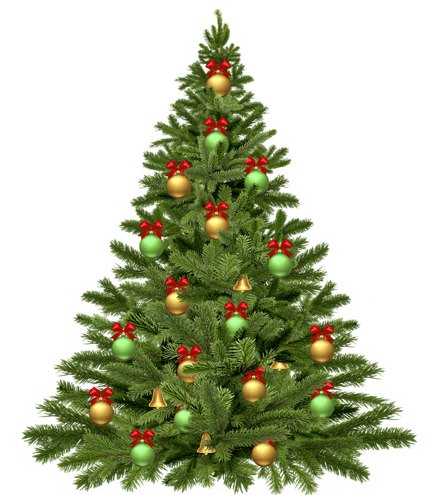 Christmas tree PNG transparent image download, size 650x720px
