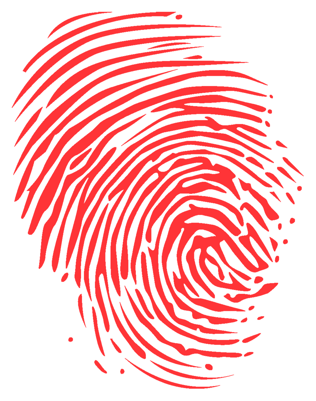 Fingerprint PNG transparent image download, size 1263x1600px