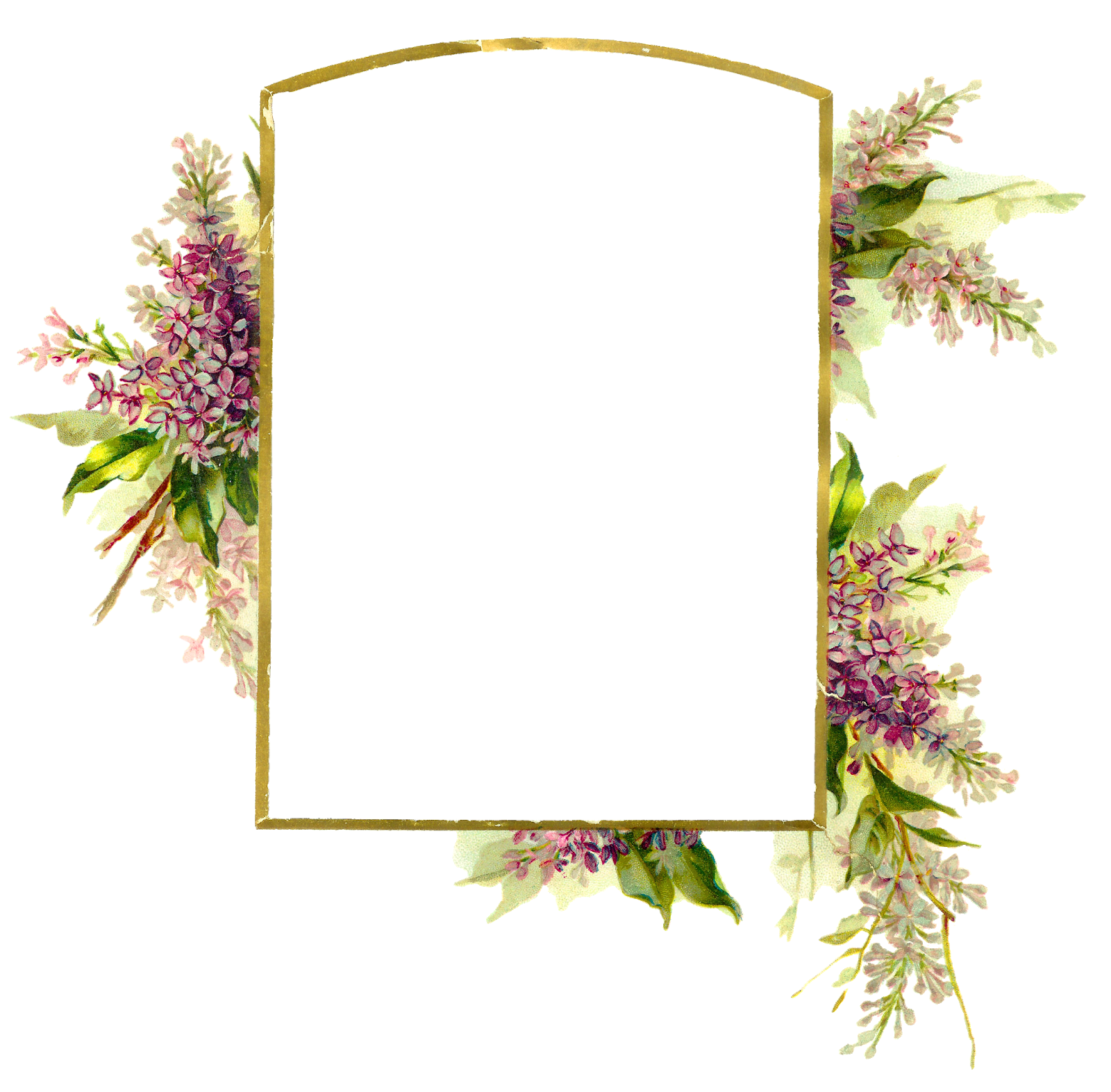 Floral frame PNG transparent image download, size 1600x1573px