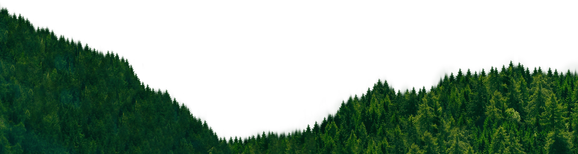 Forest PNG transparent image download, size 1920x512px