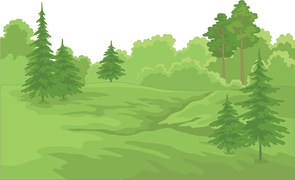 Forest PNG transparent image download, size 1023x626px