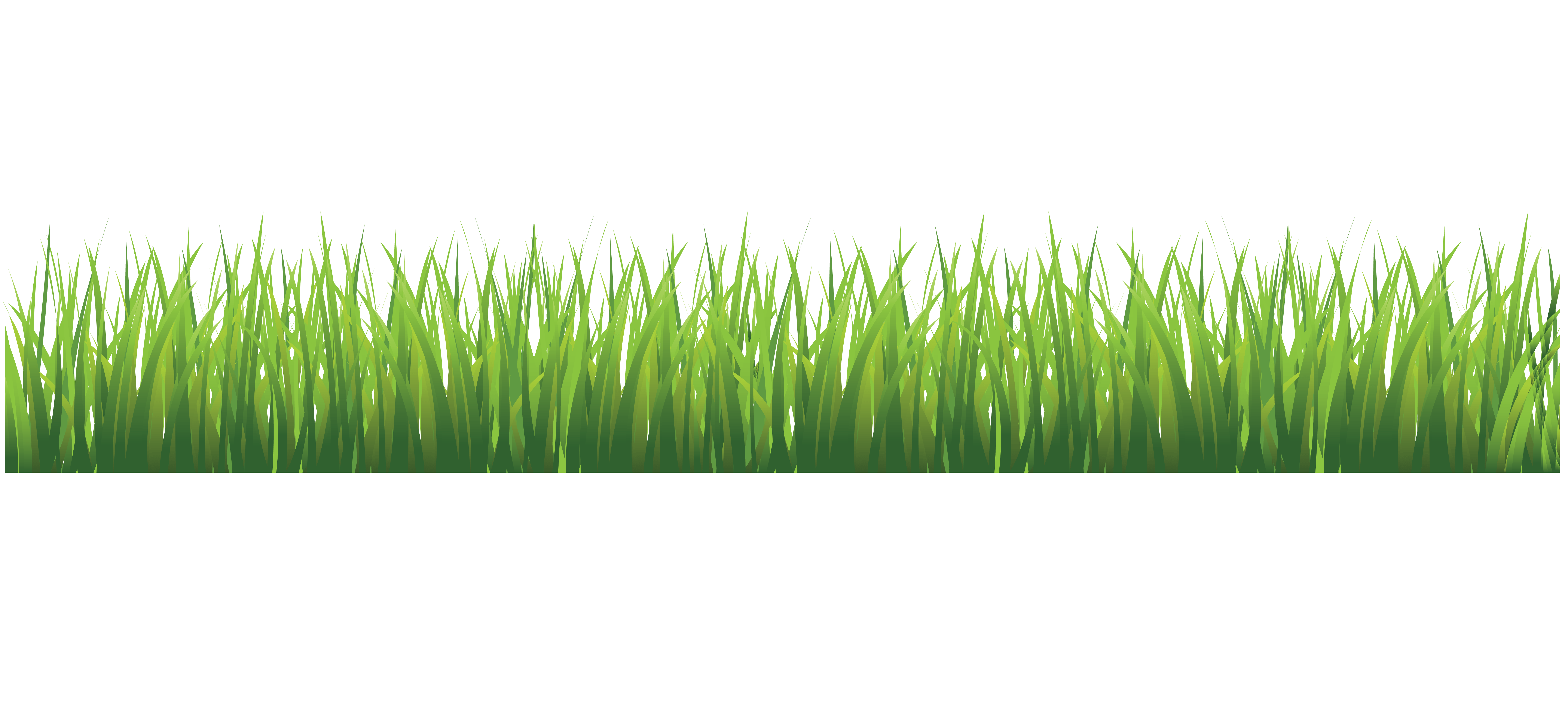 Grass PNG transparent image download, size 7327x3295px