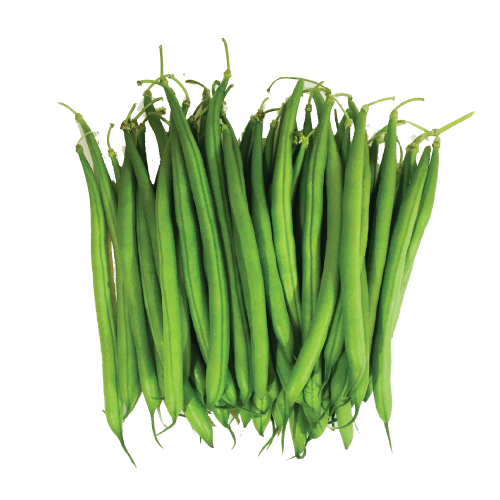 Green bean PNG transparent image download, size 500x500px