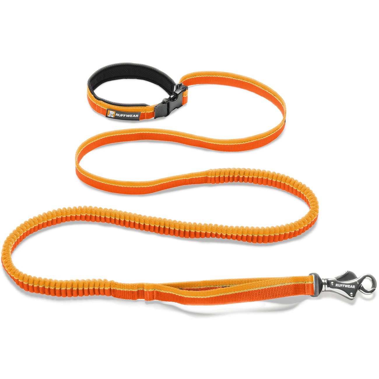 Leash PNG transparent image download, size 1300x1300px