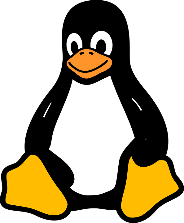 Linux logo PNG transparent image download, size 594x720px