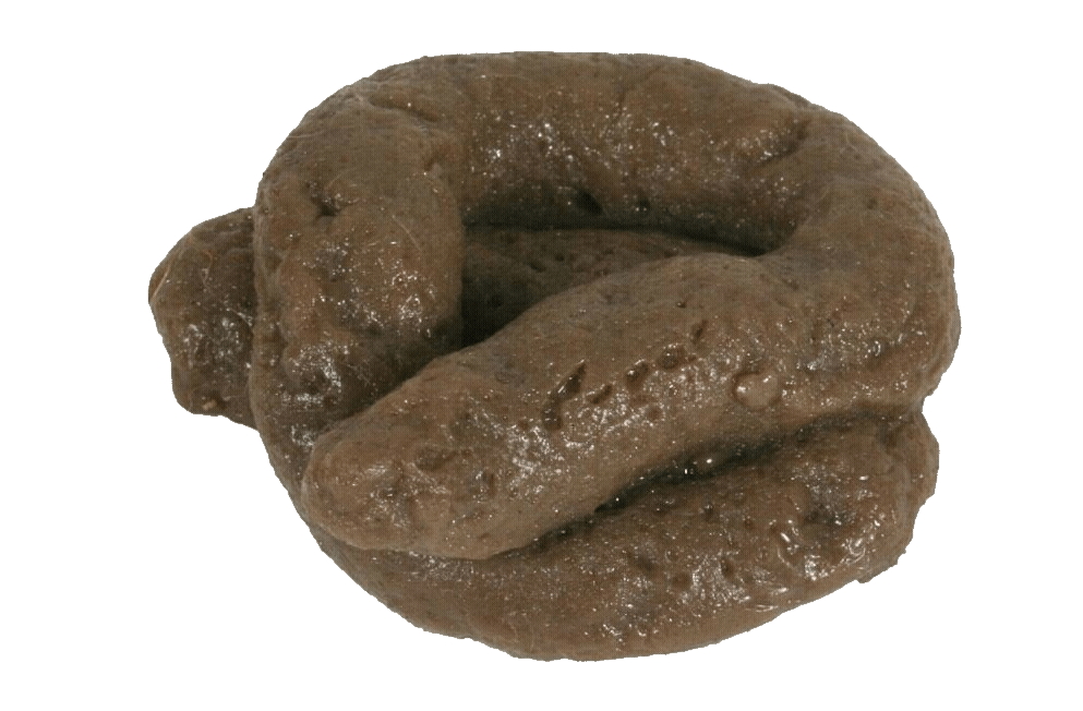 Poop Png