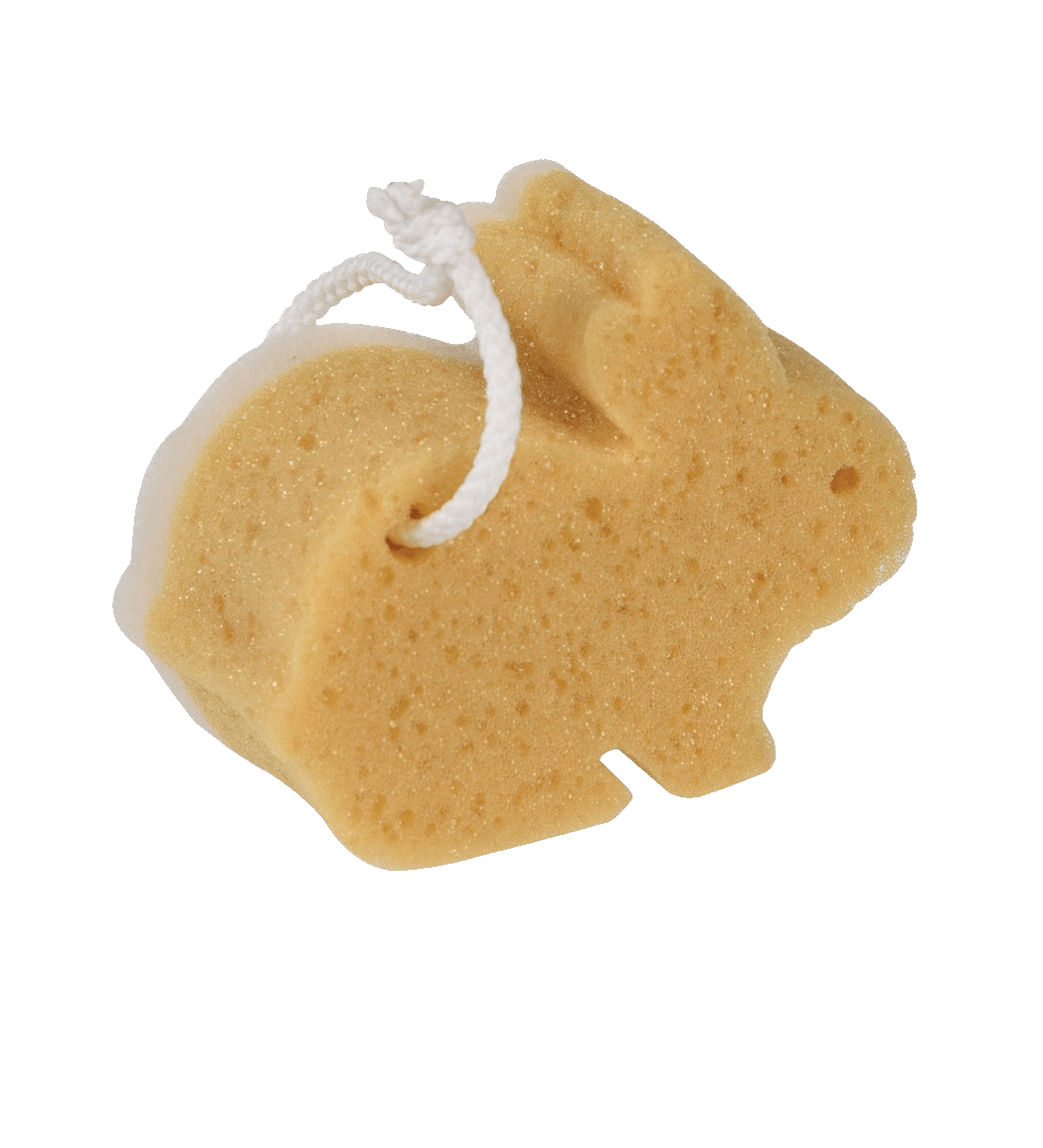 Sponge bath PNG transparent image download, size 1049x1155px