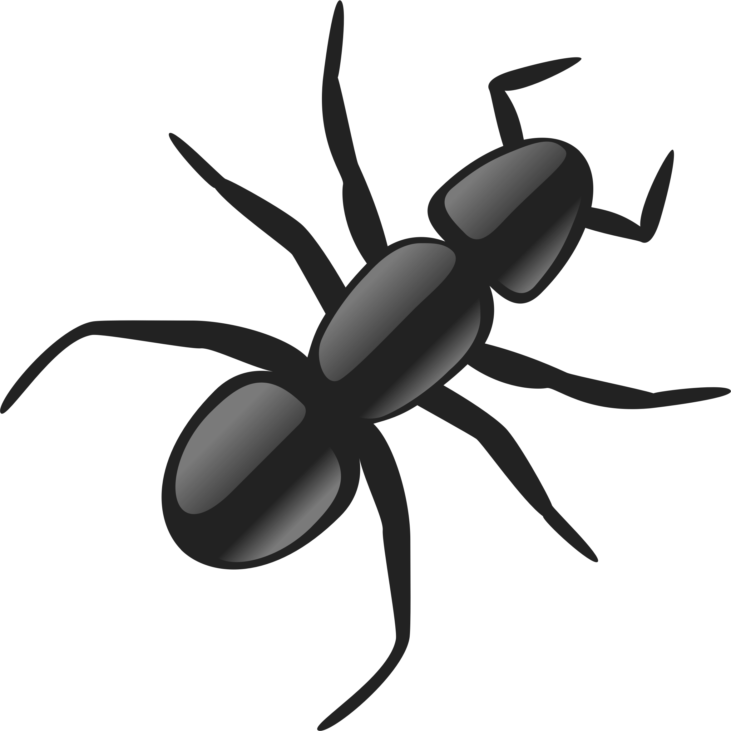 ant PNG