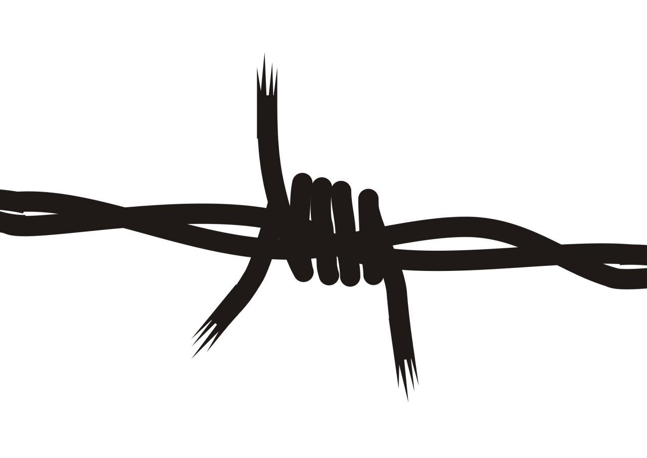 Barbed wire PNG transparent image download, size 1280x906px