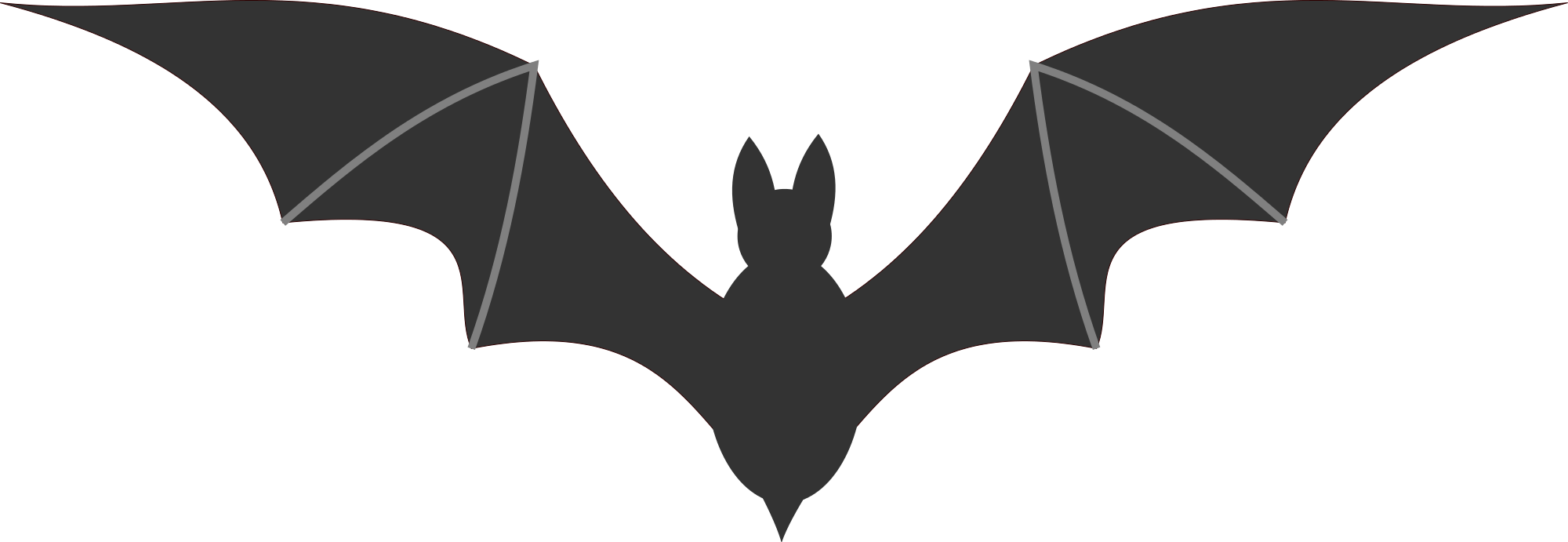 Bat PNG transparent image download, size 2000x691px