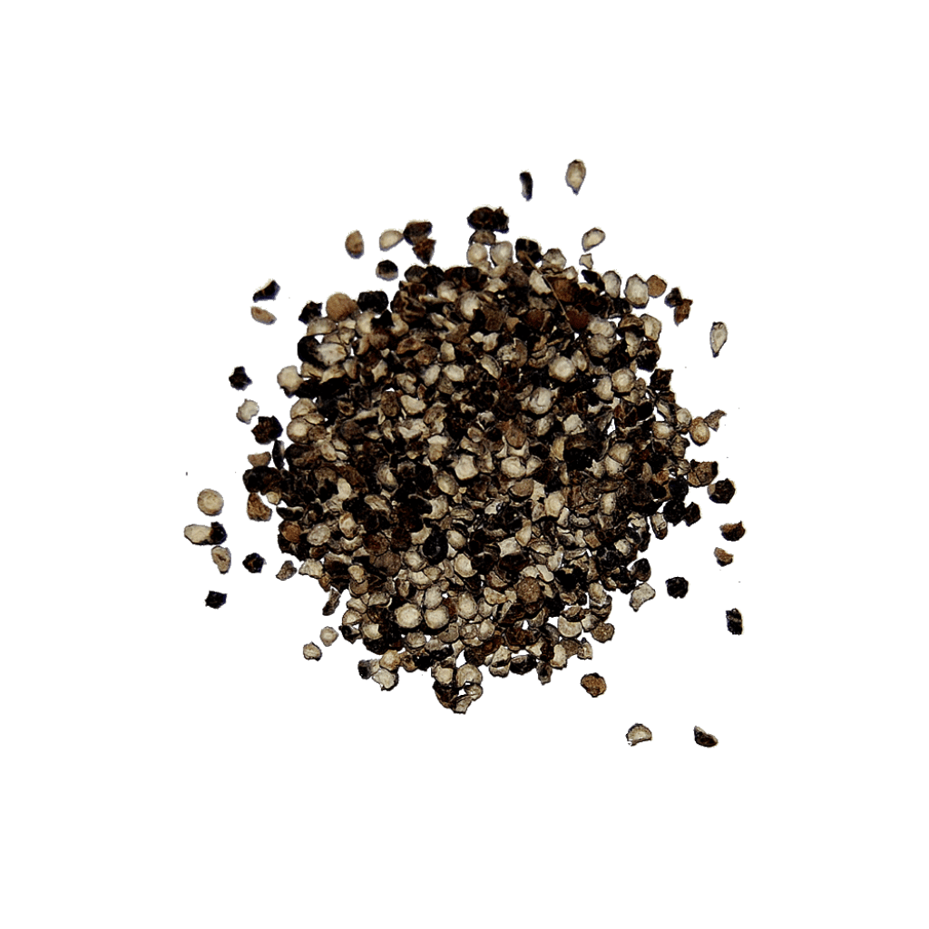 Black pepper PNG transparent image download, size 1024x1024px