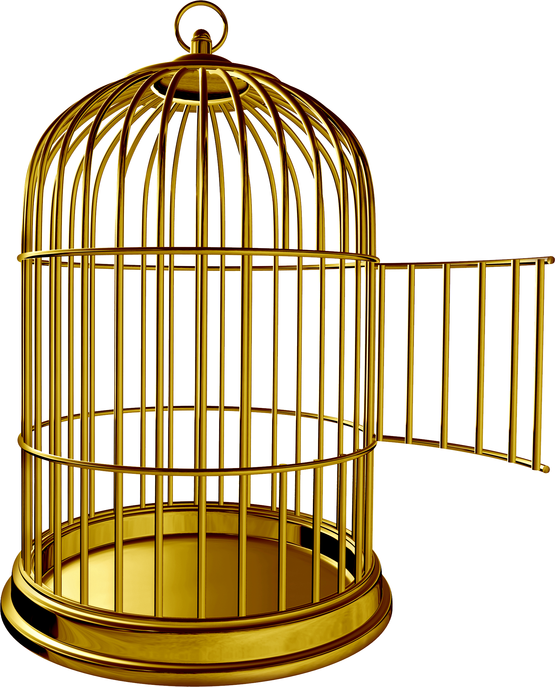 Cage bird PNG