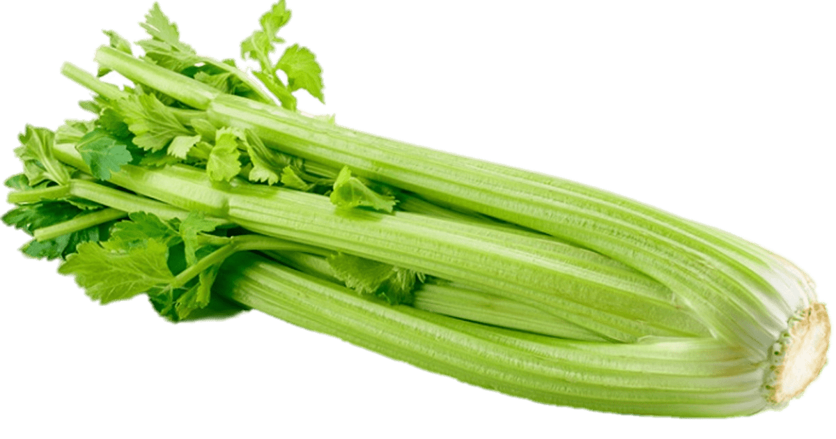 Celery PNG transparent image download, size 1200x630px