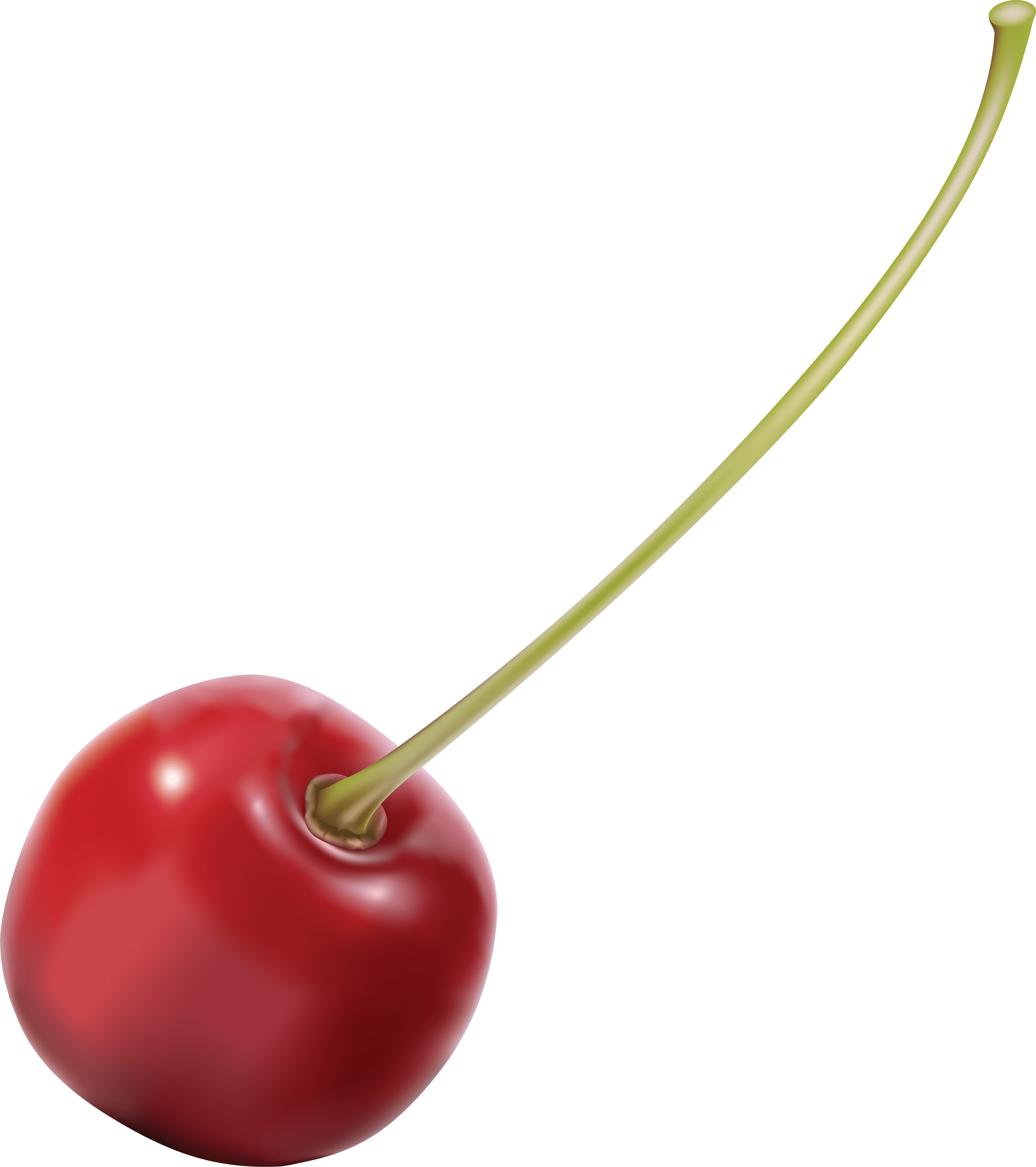 cherry PNG image