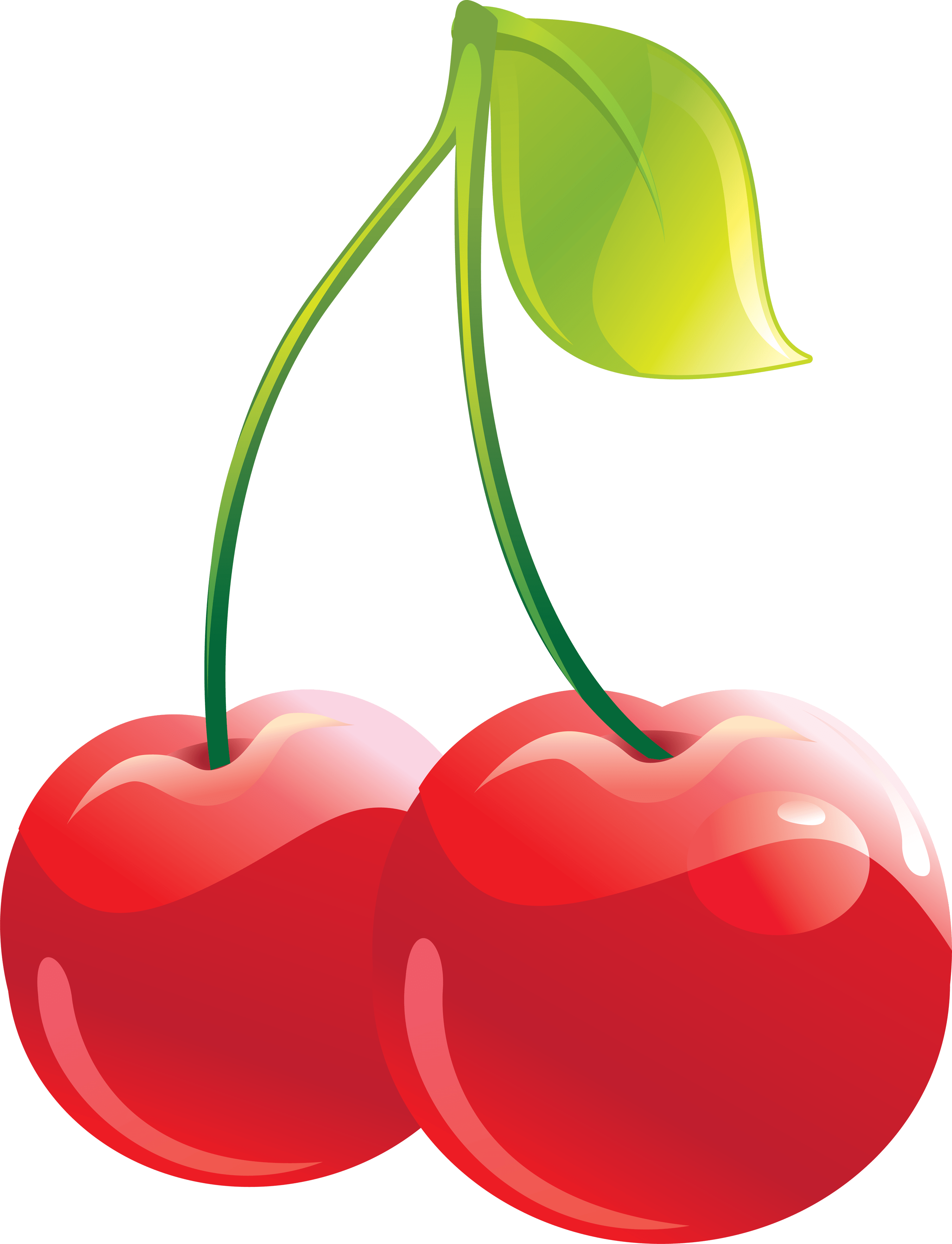 cherry PNG image