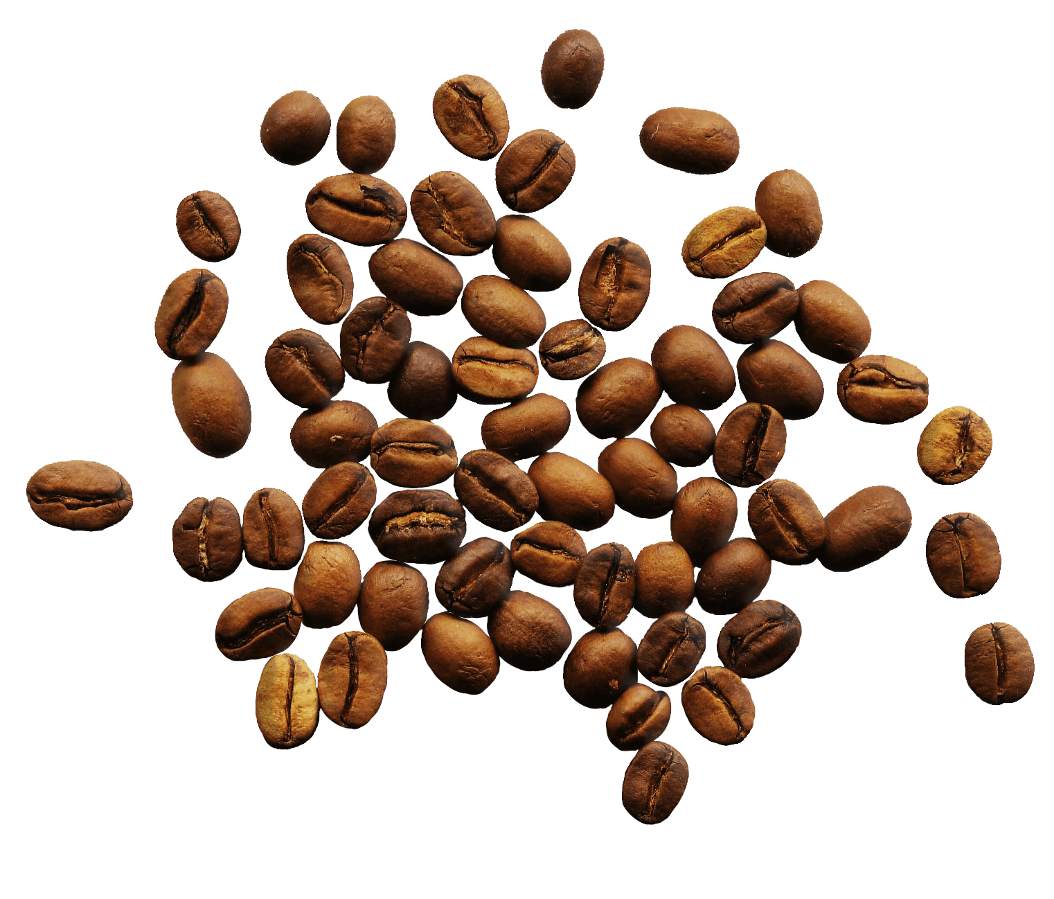 Coffee beans PNG image