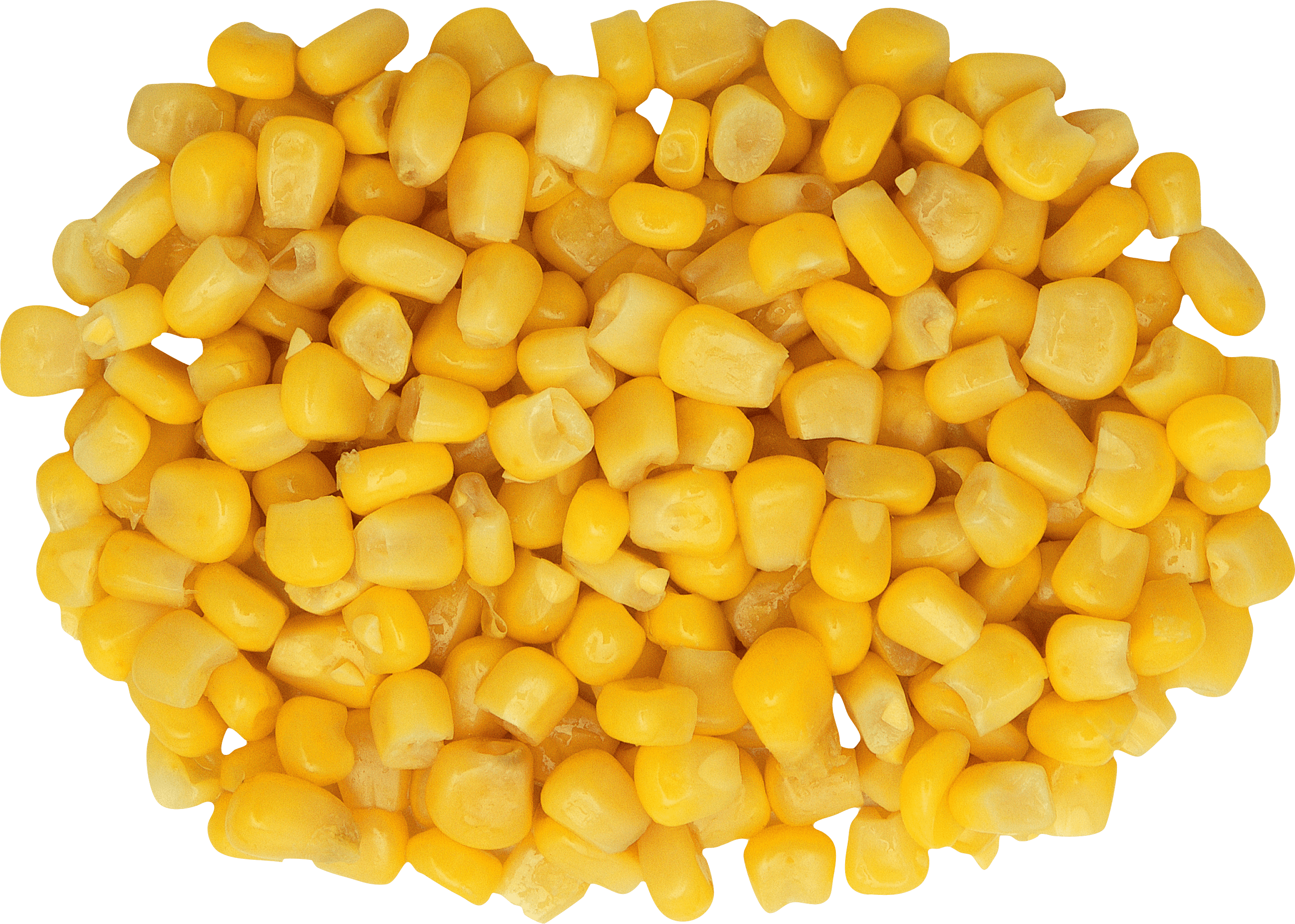 Corn PNG image