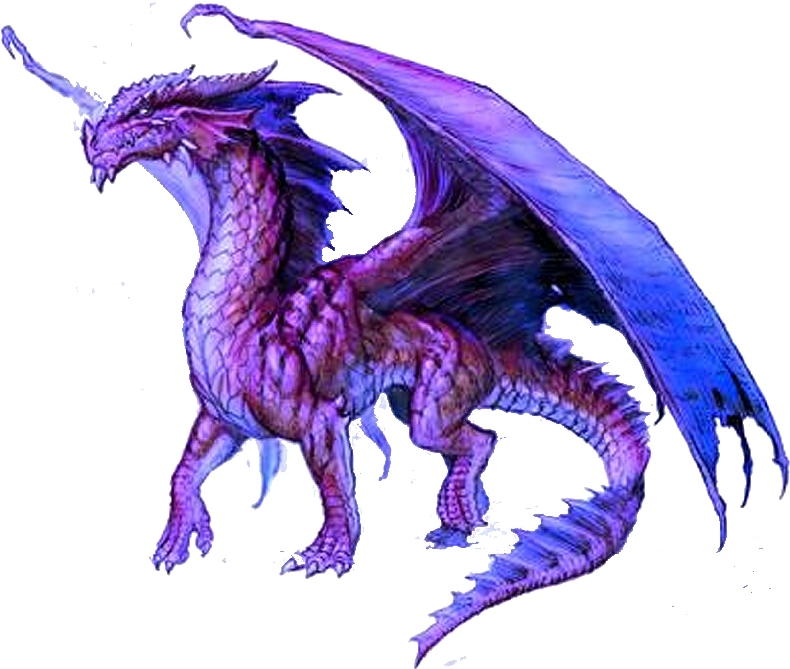 Dragon PNG