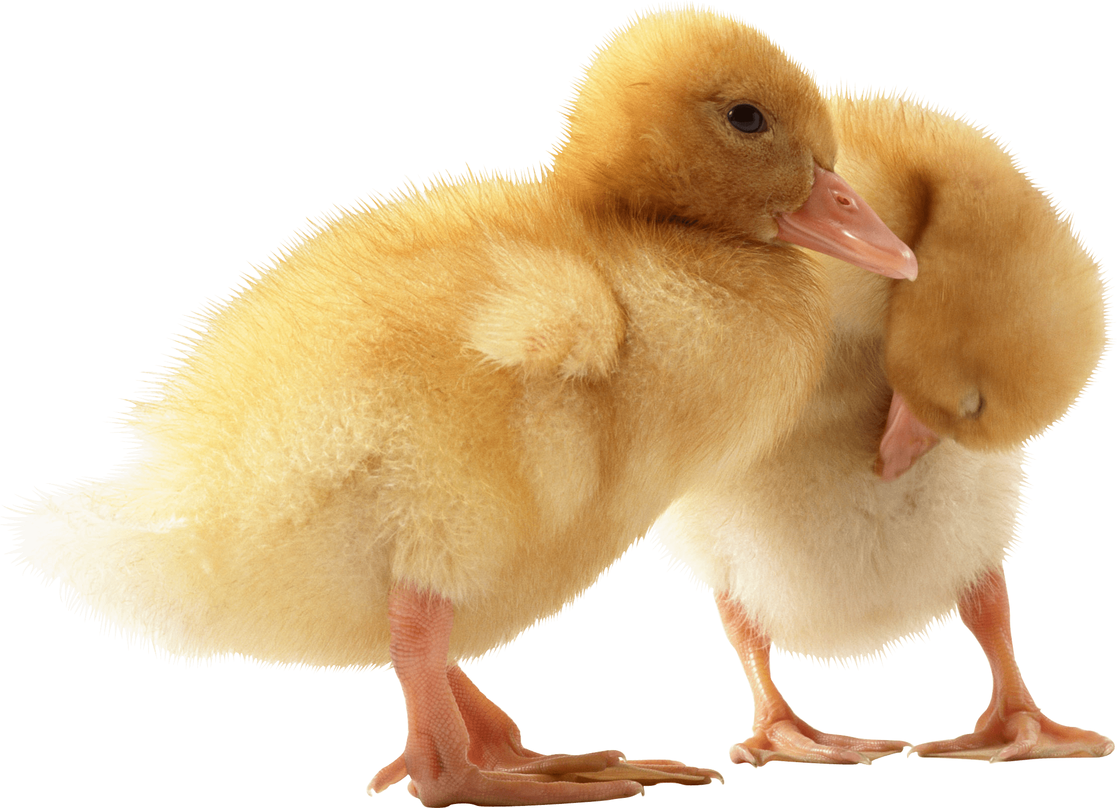 Зачетный сайт